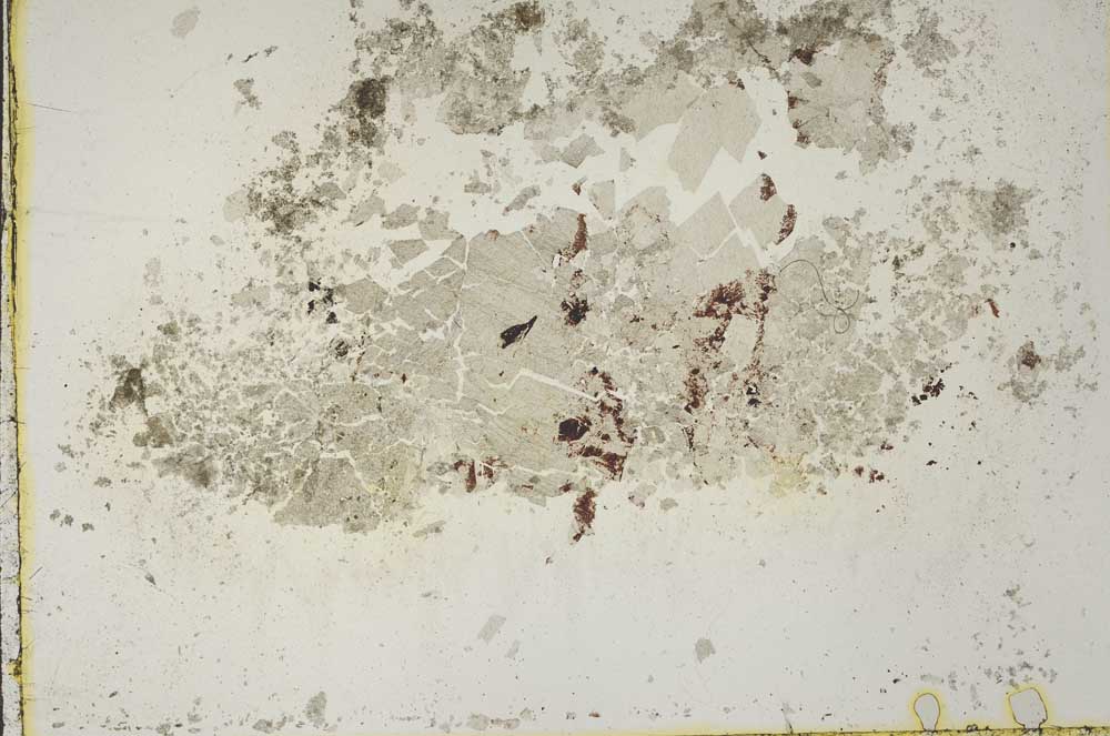 Plane Polarized, S43863