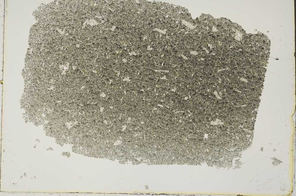 Plane Polarized, S43867