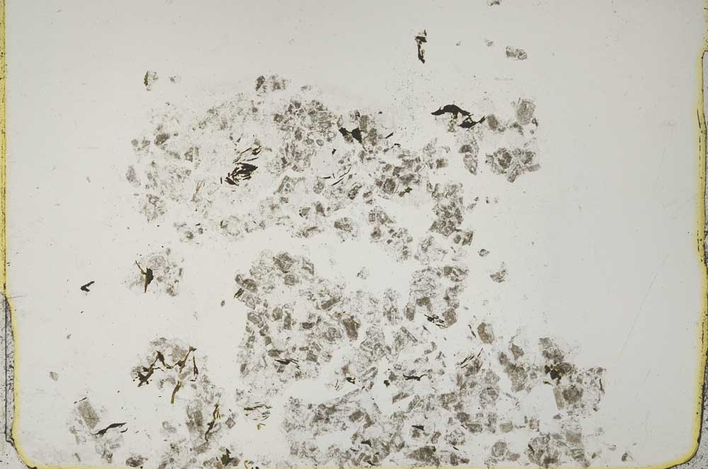 Plane Polarized, S43879