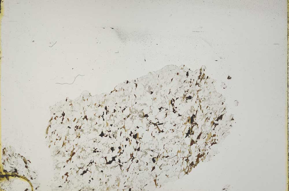Plane Polarized, S43891