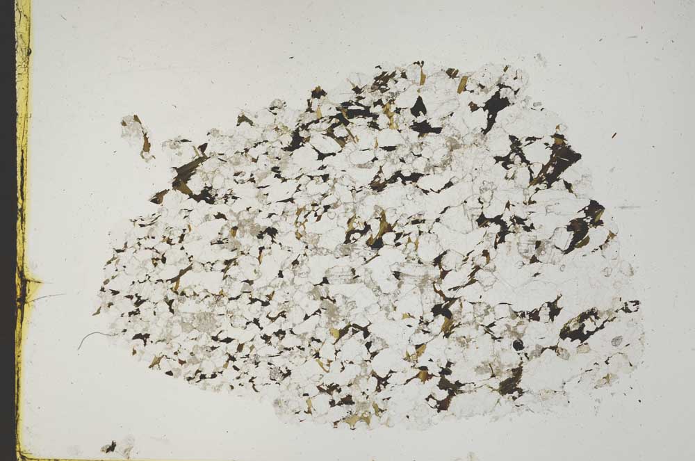 Plane Polarized, S43892