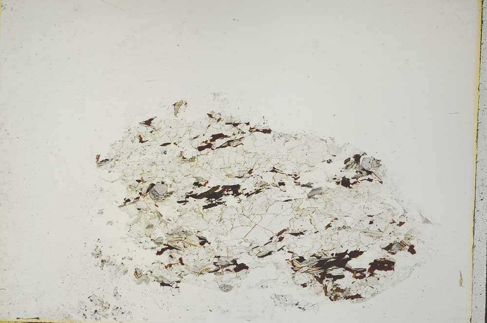 Plane Polarized, S43894