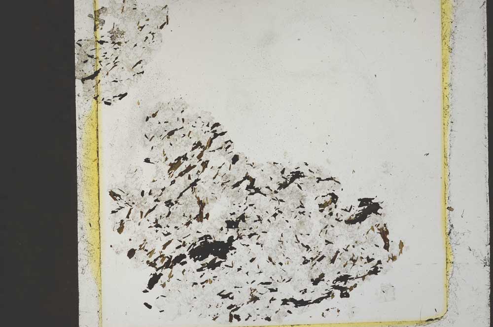 Plane Polarized, S43896
