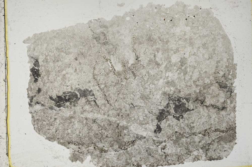 Plane Polarized, S43934