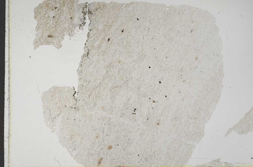Plane Polarized, S43938