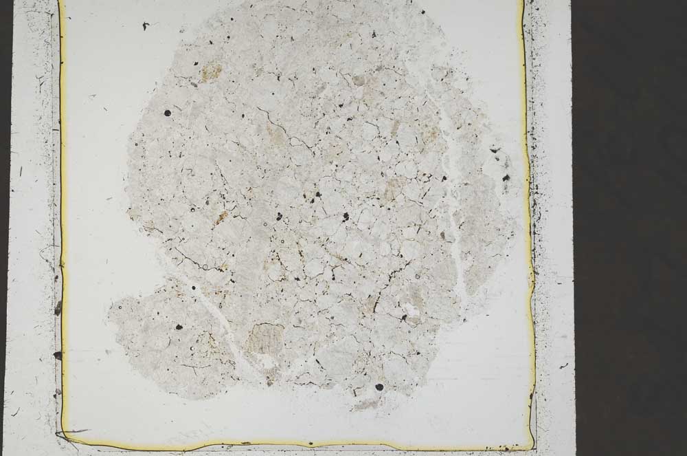 Plane Polarized, S43952