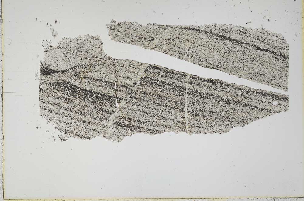 Plane Polarized, S43954