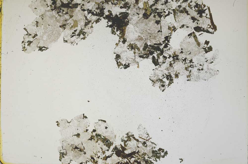 Plane Polarized, S43965