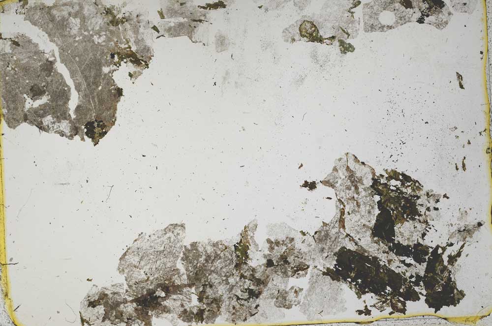 Plane Polarized, S43969
