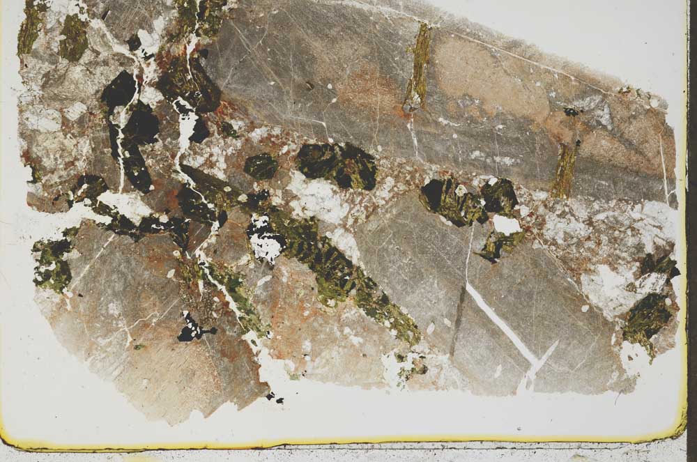 Plane Polarized, S43970