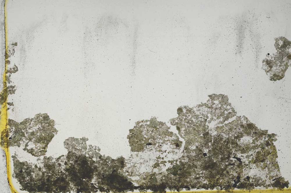 Plane Polarized, S43983