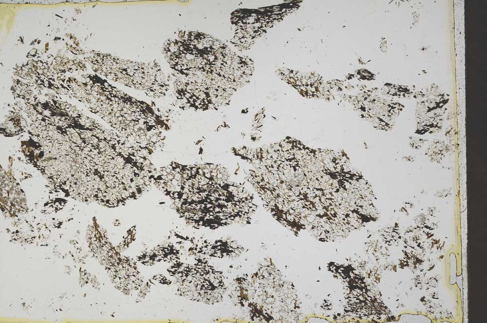 Plane Polarized, S43990