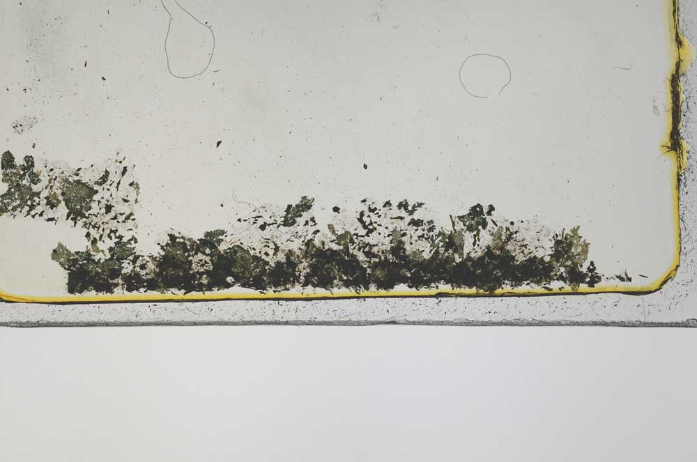 Plane Polarized, S44010