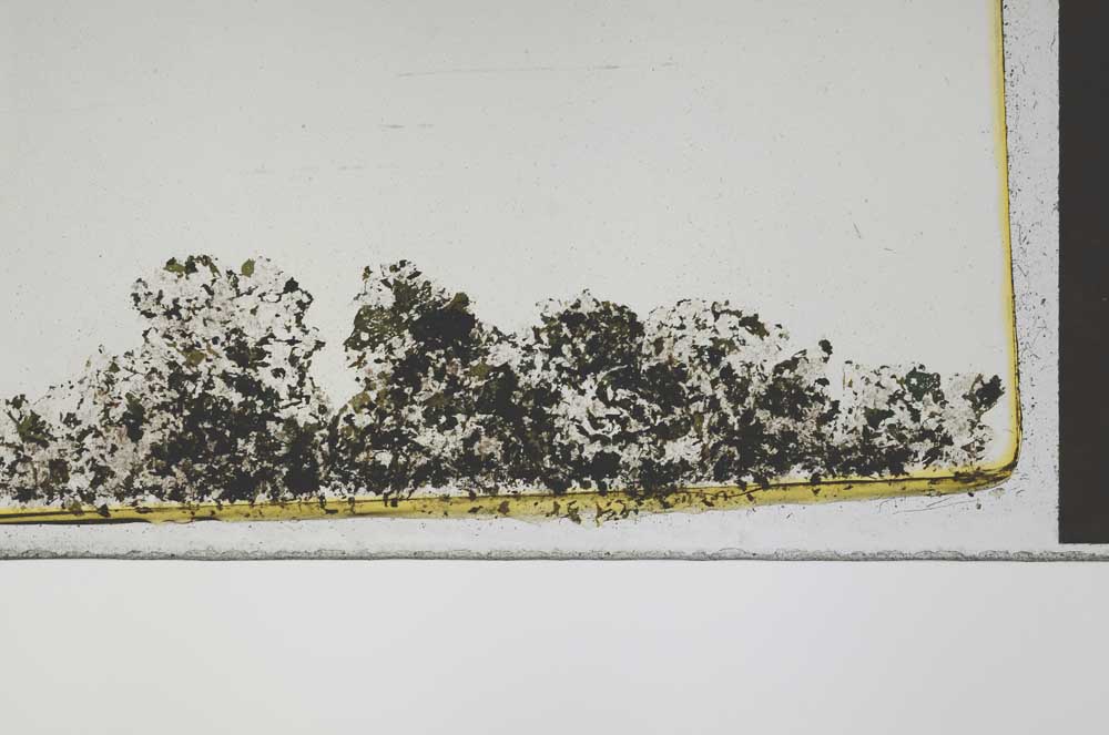 Plane Polarized, S44013