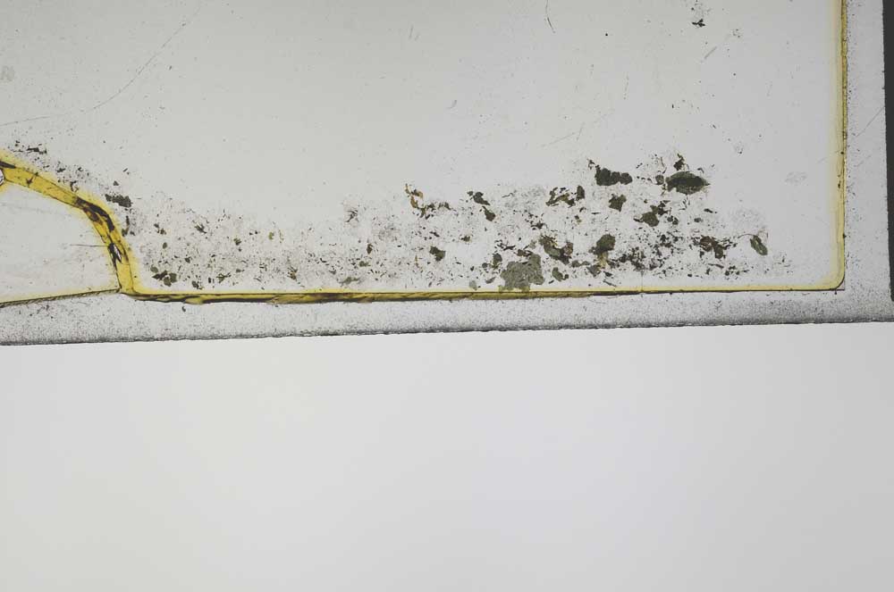 Plane Polarized, S44017
