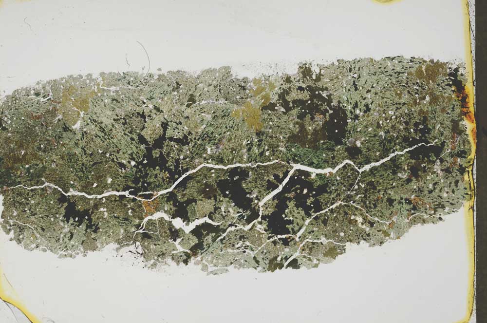 Plane Polarized, S44021