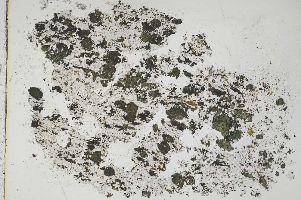 Plane Polarized, S44023