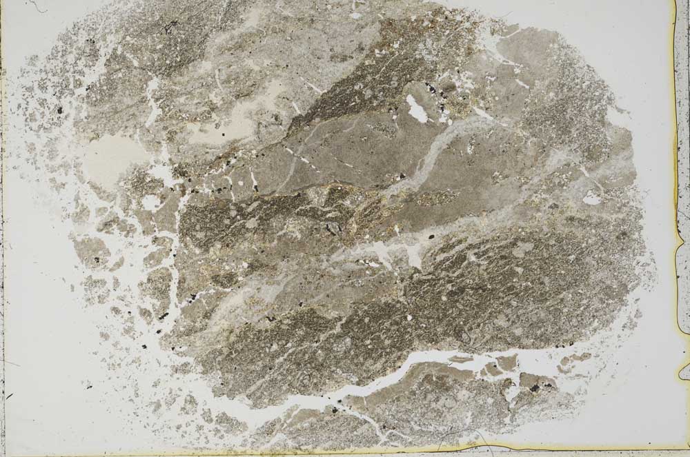 Plane Polarized, S44029