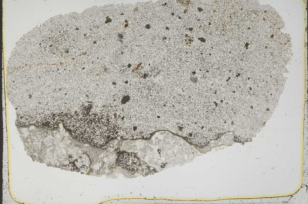 Plane Polarized, S44032