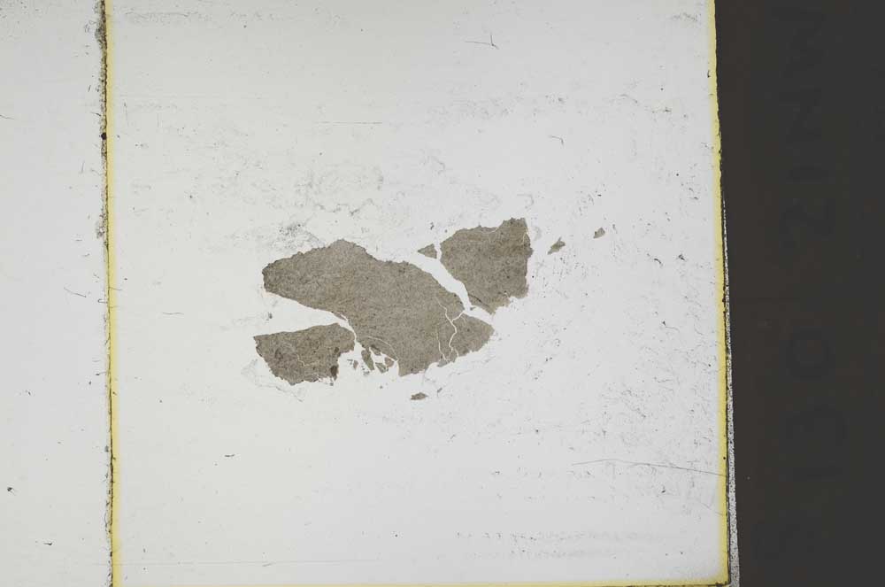 Plane Polarized, S44033