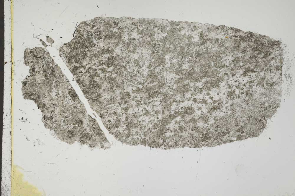 Plane Polarized, S44119