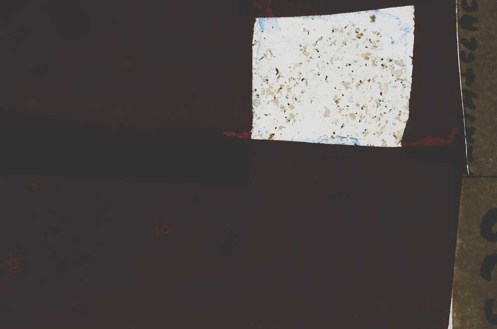 Plane Polarized, S44148/A