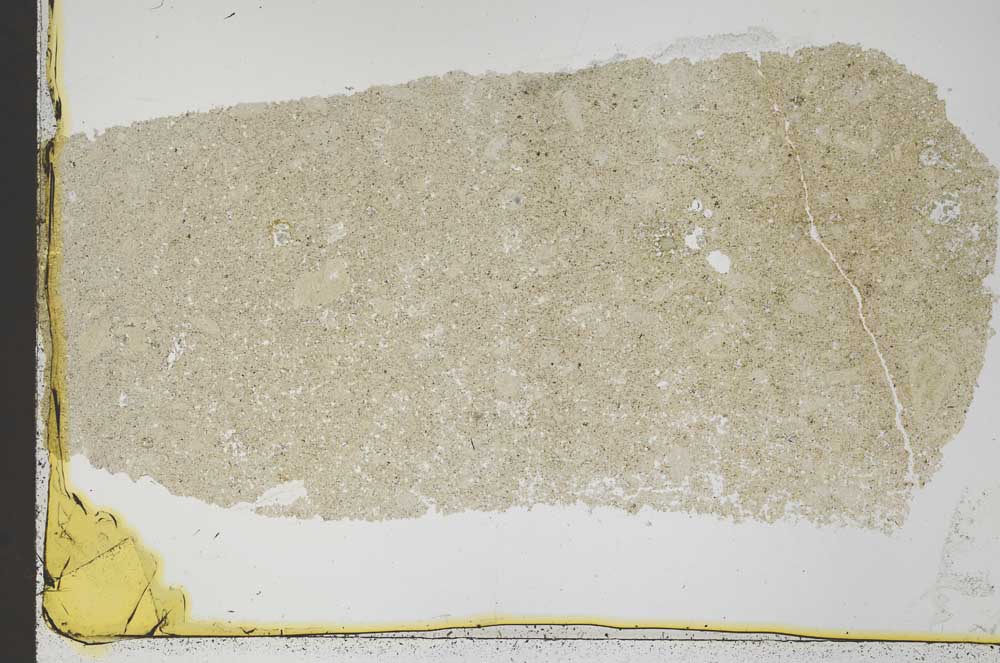 Plane Polarized, S44163