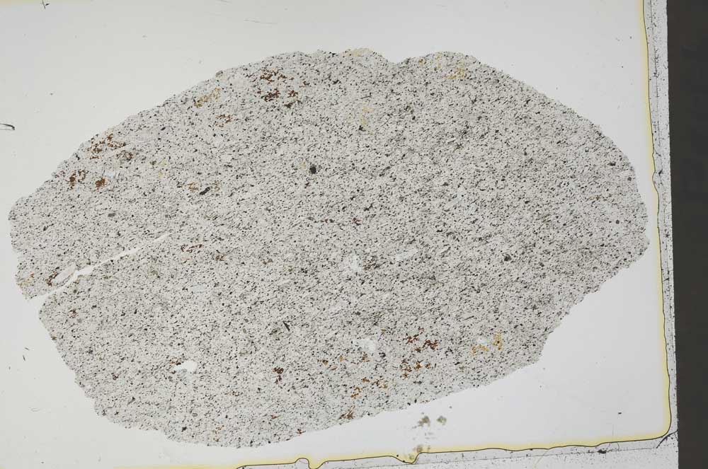 Plane Polarized, S44178