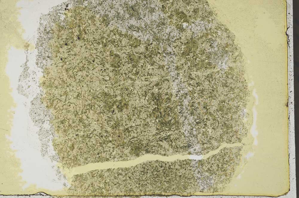 Plane Polarized, S44226