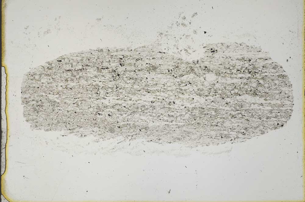 Plane Polarized, S44238