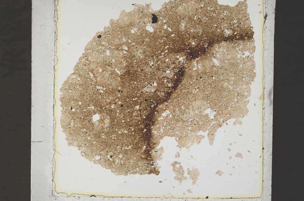 Plane Polarized, S44248