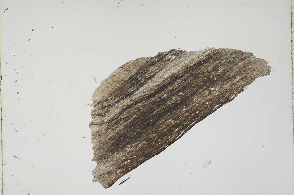 Plane Polarized, S44265