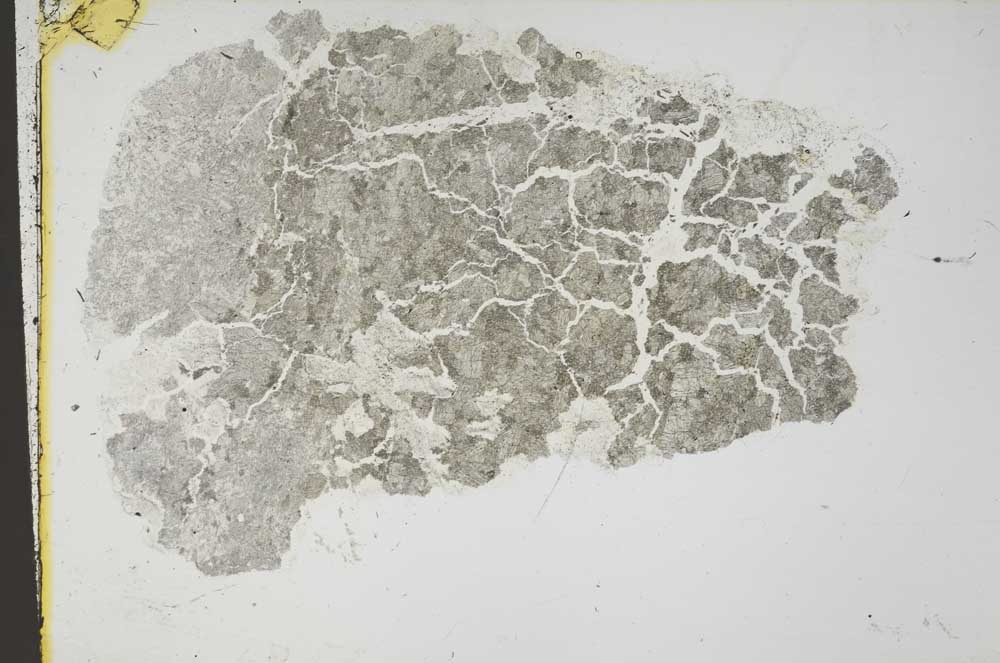 Plane Polarized, S44279