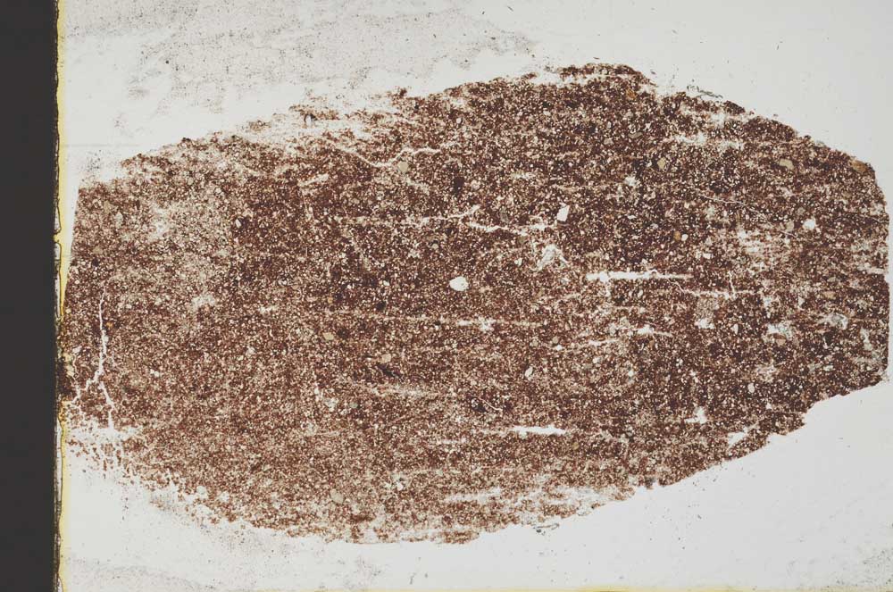 Plane Polarized, S44334