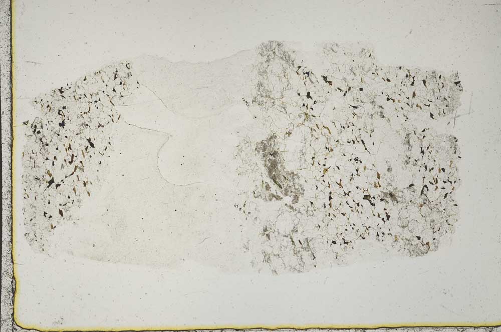 Plane Polarized, S44347