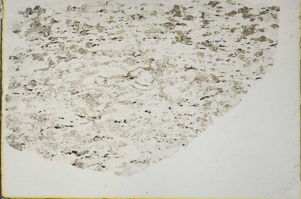 Plane Polarized, S44351