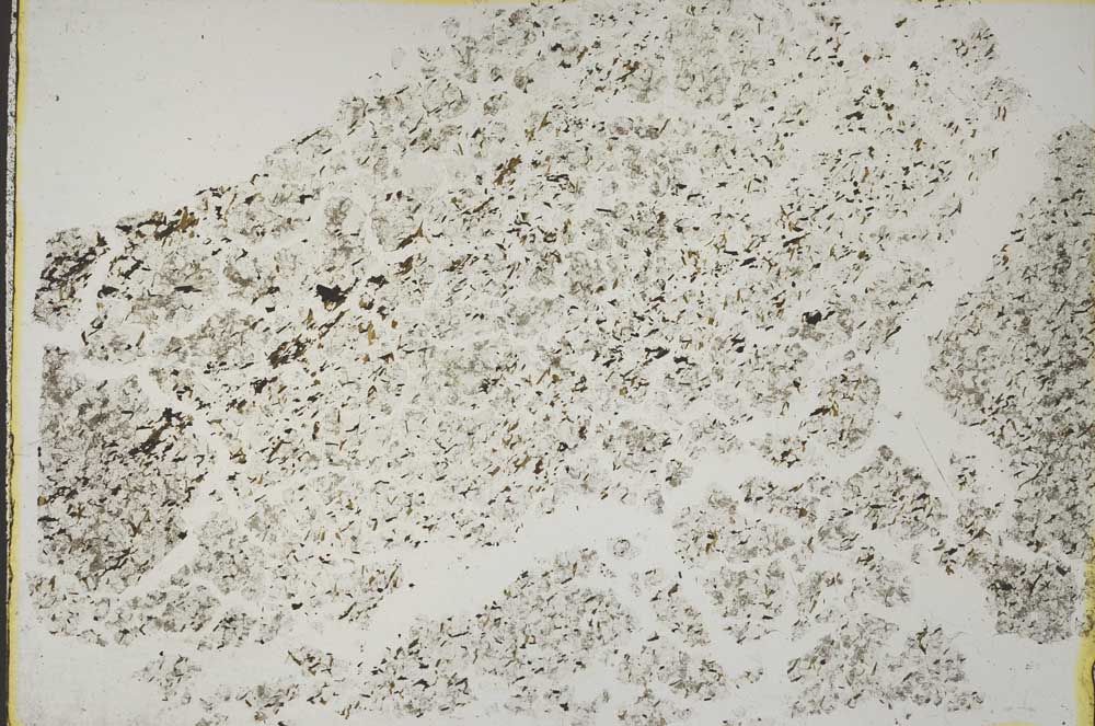 Plane Polarized, S44357