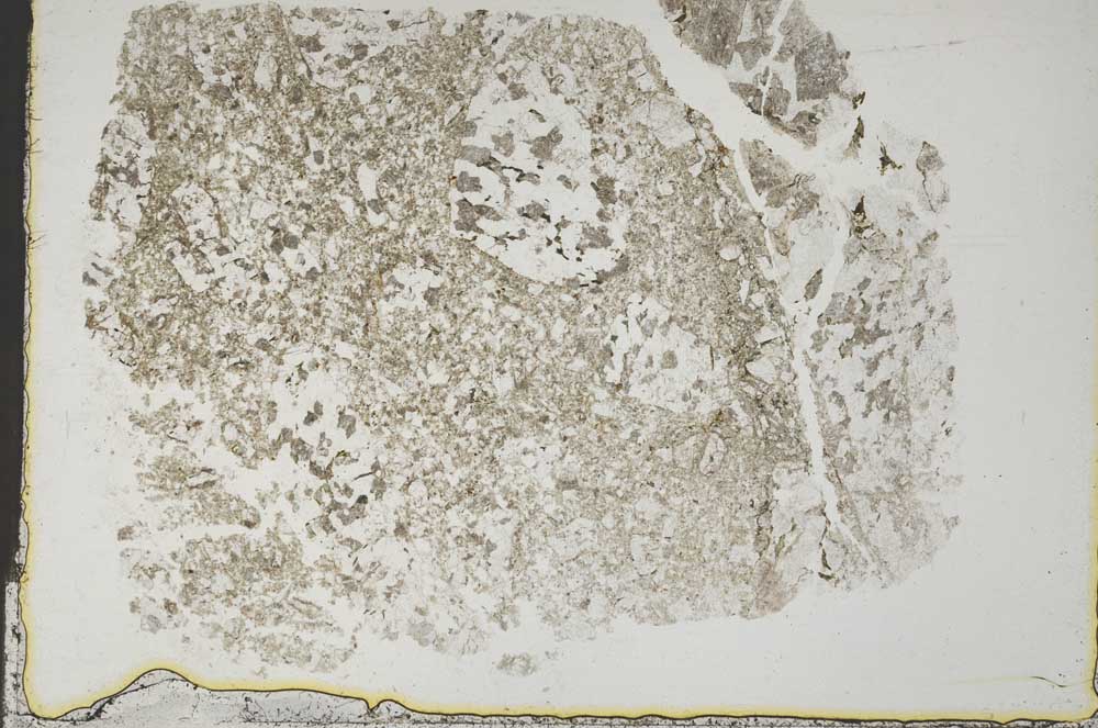 Plane Polarized, S44368