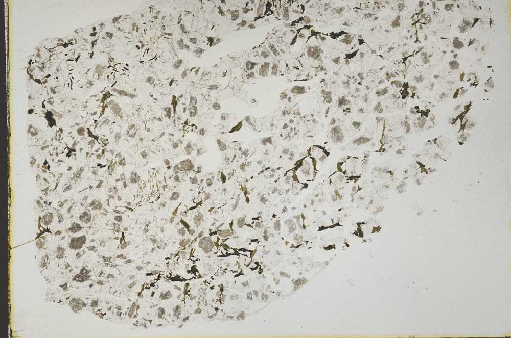 Plane Polarized, S44379