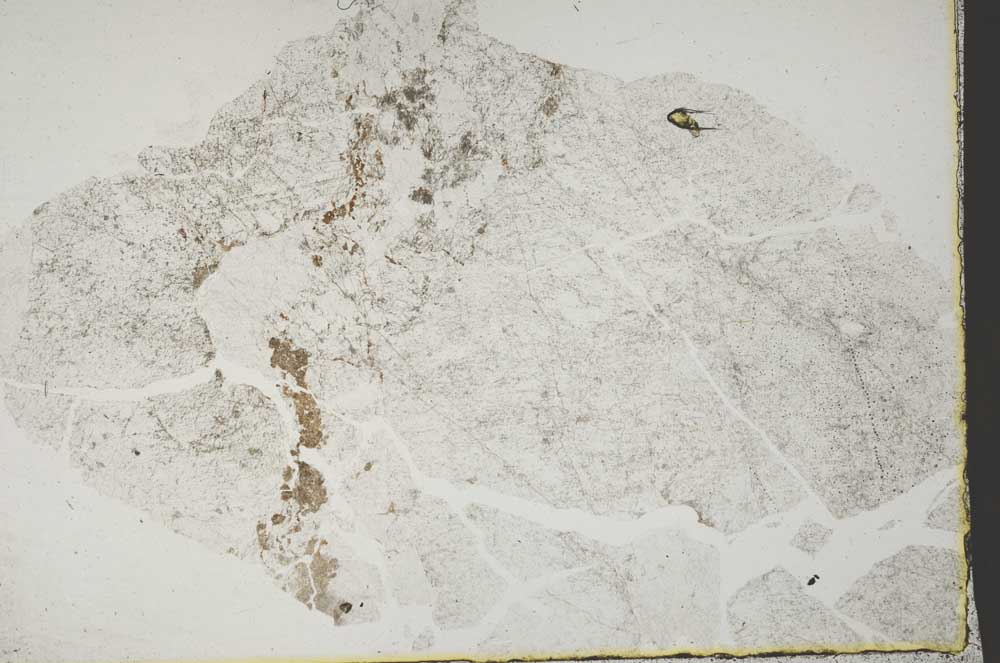 Plane Polarized, S44382