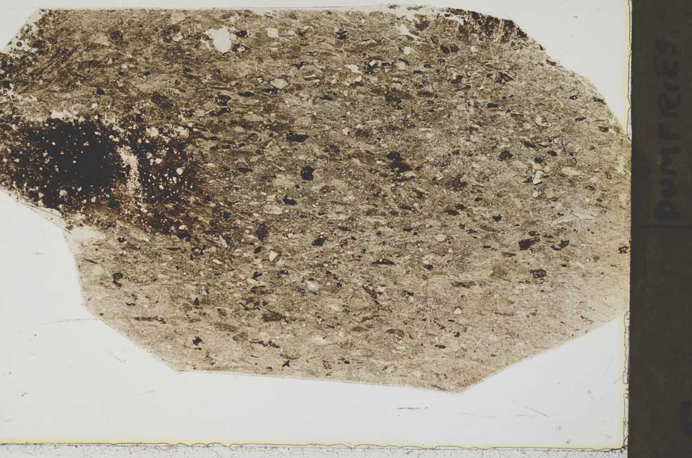 Plane Polarized, S44394