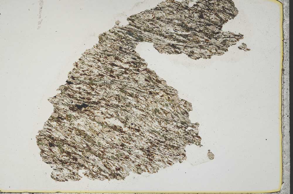 Plane Polarized, S44399