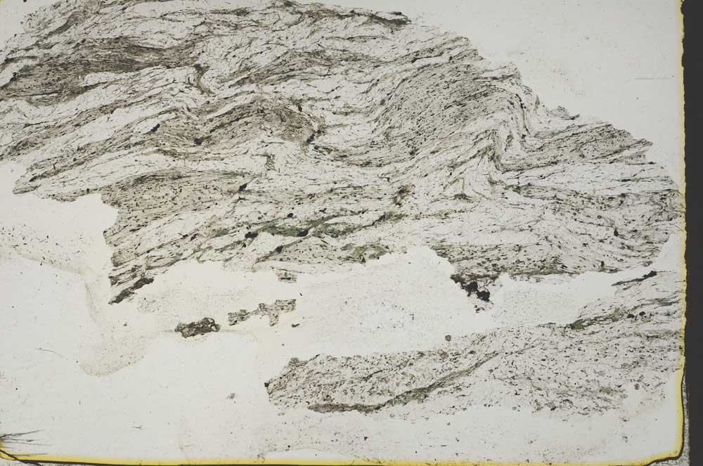 Plane Polarized, S44400