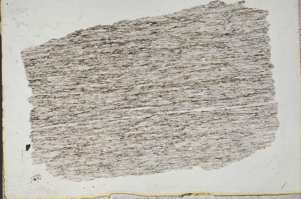 Plane Polarized, S44407