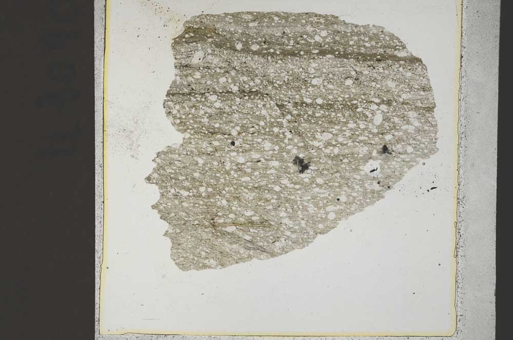 Plane Polarized, S44408