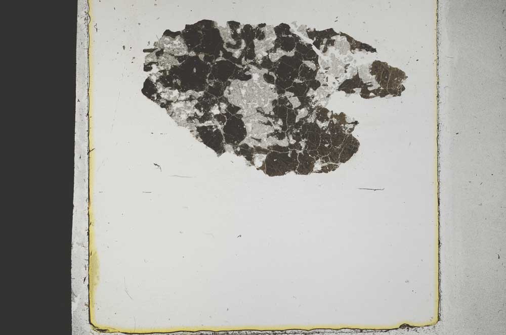 Plane Polarized, S44447