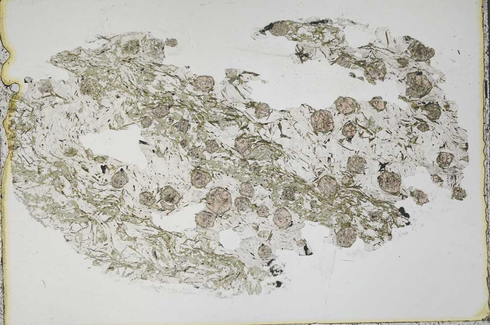 Plane Polarized, S44493