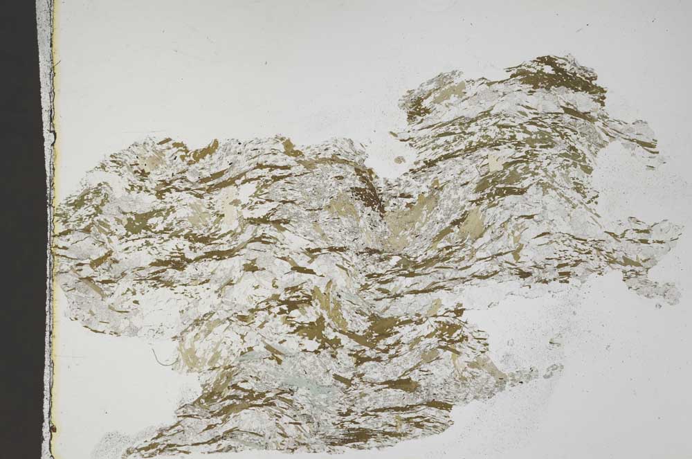 Plane Polarized, S44495