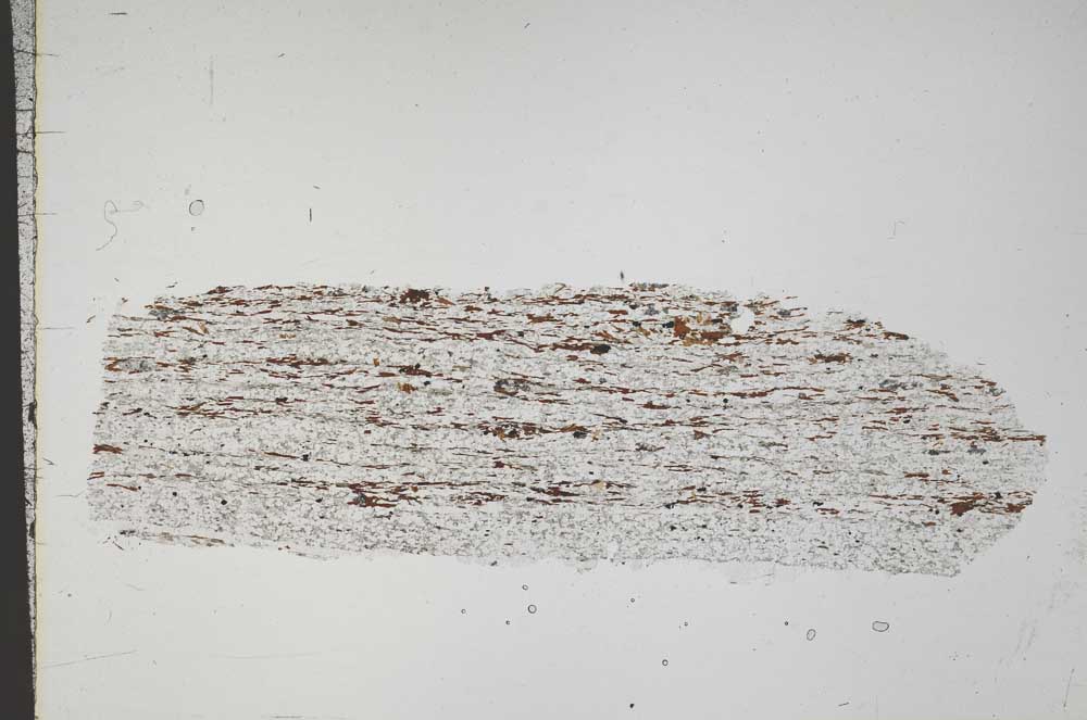 Plane Polarized, S44500