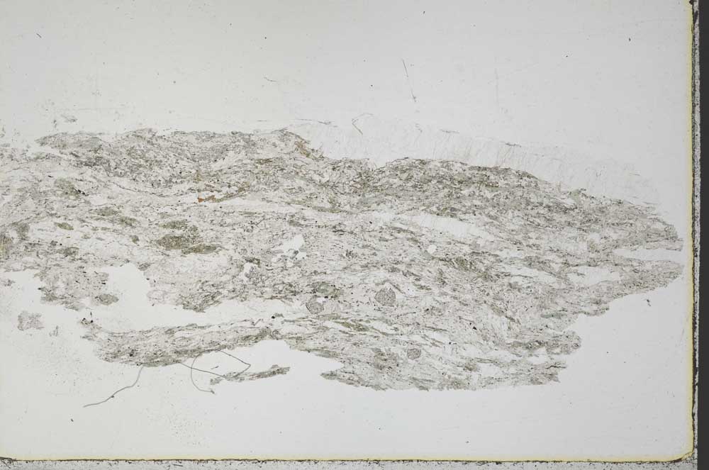 Plane Polarized, S44501